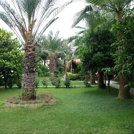Ośrodek wypoczynkowy Elysee Garden Family Alanya